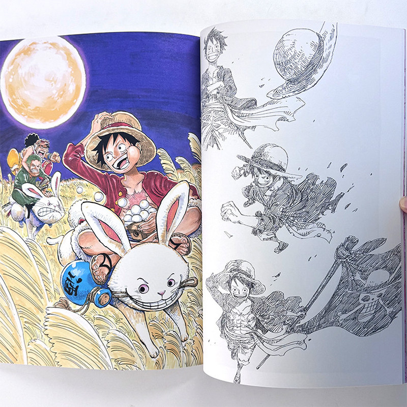 Buku Ilustrasi One Piece Color - Stationery Books ulasan dan harga