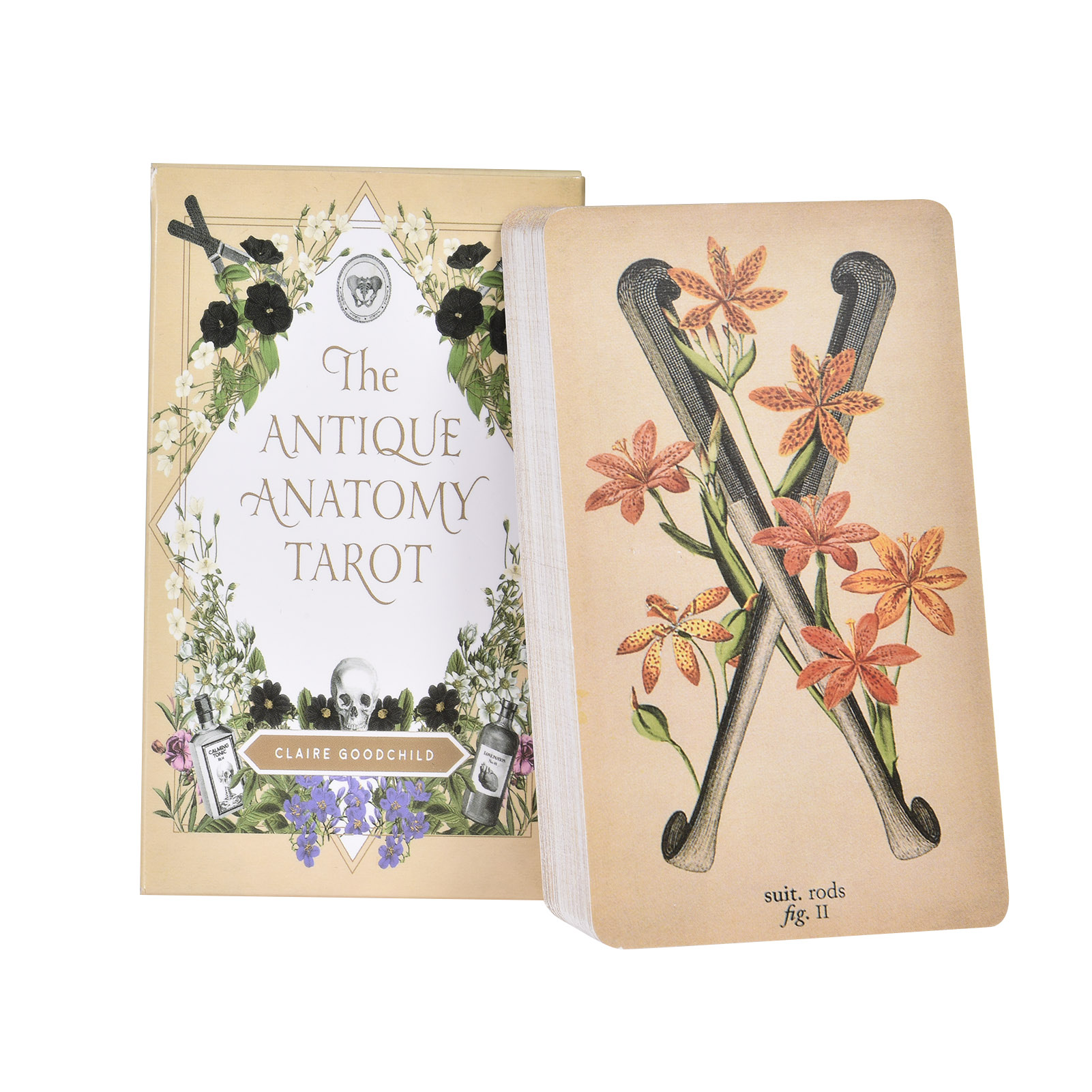 Kartu Tarot Anatomi Antik Vers - Tarot Deck With Guidebook ulasan dan harga